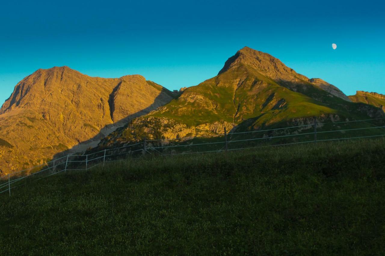 Alpenappartement Bergkoenig Warth  Esterno foto